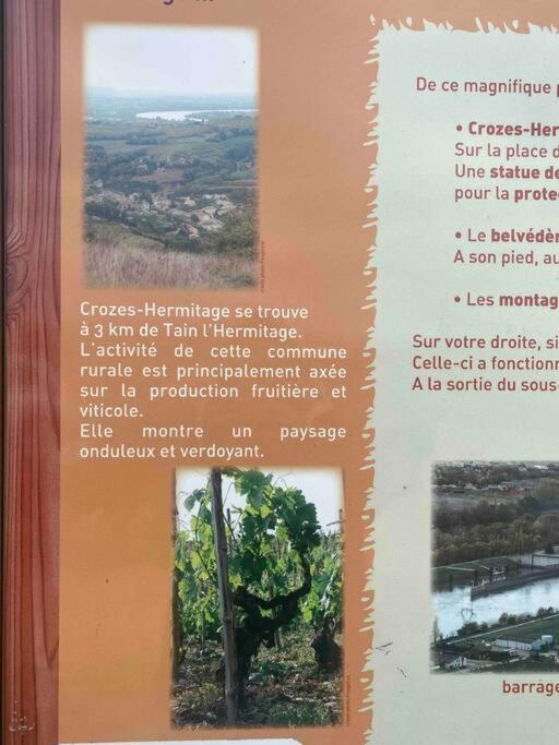 Pres Des Vignes Apartamento Crozes-Hermitage Exterior foto